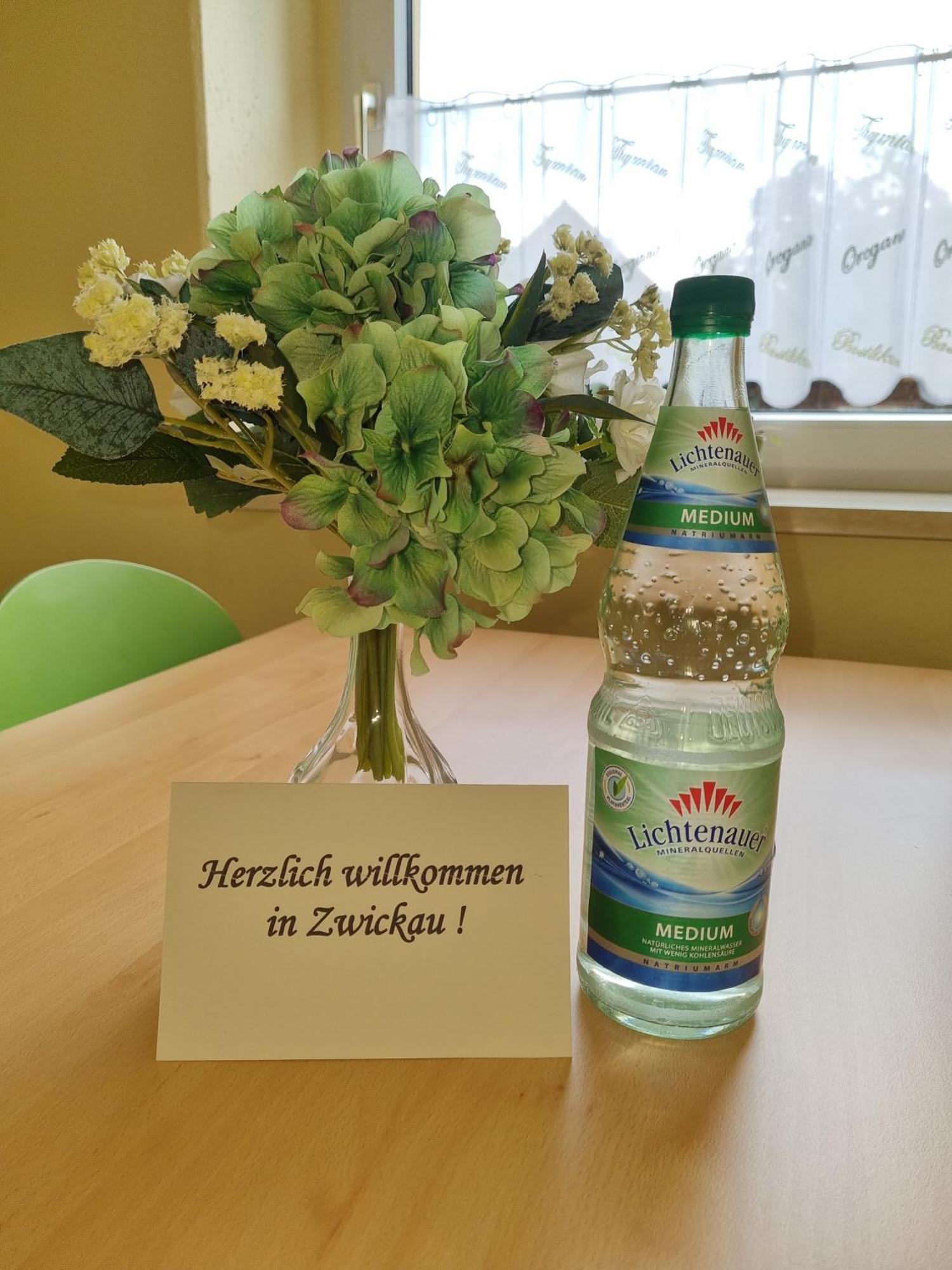 Ferienwohnung Im Zentrum Zwickaus Εξωτερικό φωτογραφία